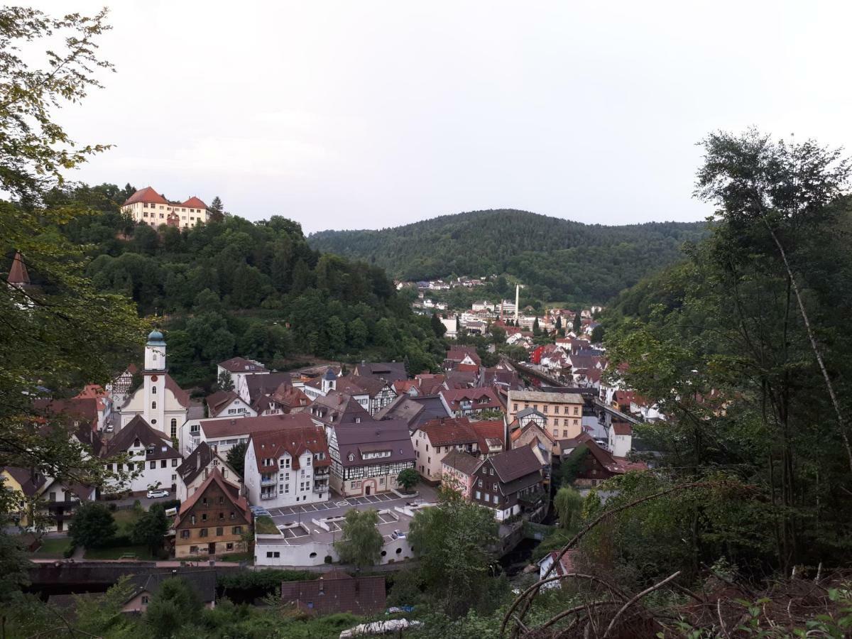 Ferienwohnung Buchberg Exklusiv Neuenburg  Esterno foto