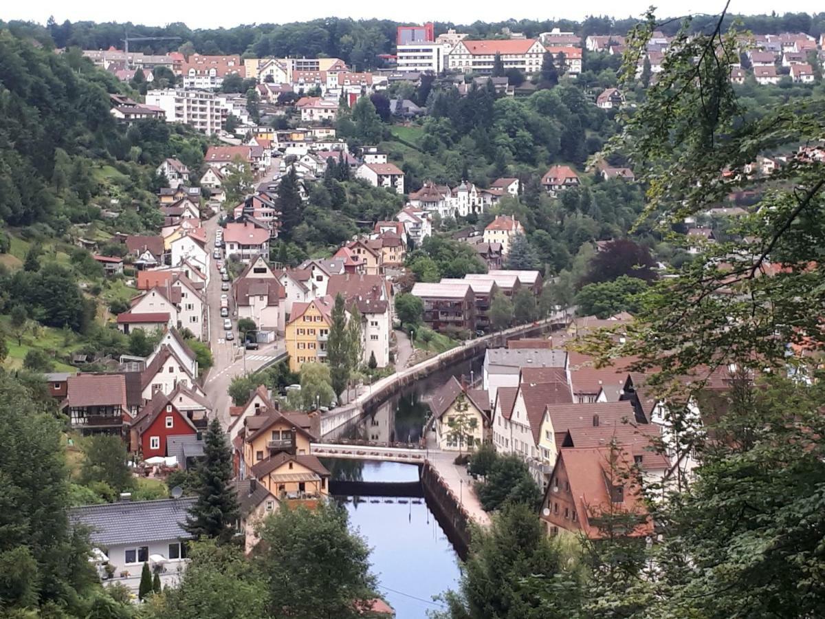 Ferienwohnung Buchberg Exklusiv Neuenburg  Esterno foto